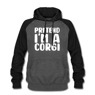 Hunde Hoodie - Halloween-Kostüm Hund Halloween Geschenk