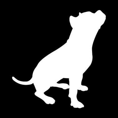Motiv Pitbull Hund hundemotiv Geschenk