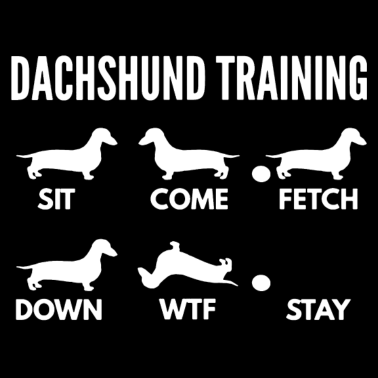 Motiv Dackel-Trainingshemd