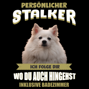 Motiv Deutscher Spitz Hund - Deutscher Spitz