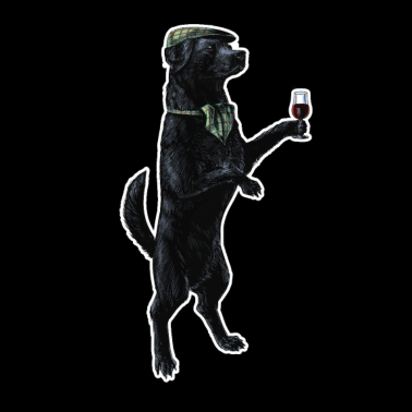 Motiv Anyone for Port? dark T