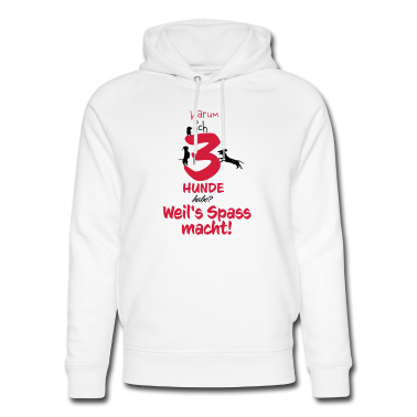 Hunde Hoodie - Warum ich 3 Hunde habe mit Abbildung von 3 Hunden