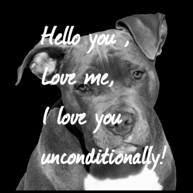 Motiv American Staffordshire, Hundegesicht ,Hundekopf,