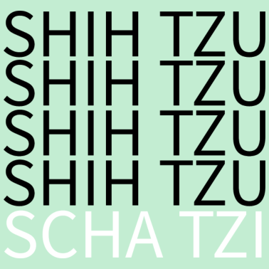 Motiv Shih tzu Shih-Tzu Hunderasse