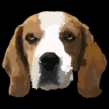 Motiv Beagle Portrait, Haustier Portrait, Hund Portrait