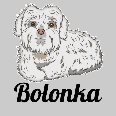 Motiv Bolonka Zwetna, Geschenk für Besitzer eines Bollie