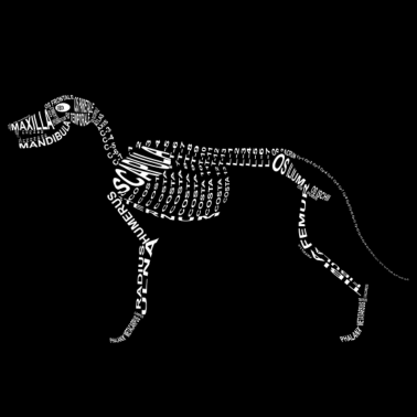 Motiv Hunde-Skelett
