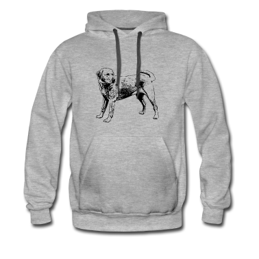 Hunde Hoodie - Labrador