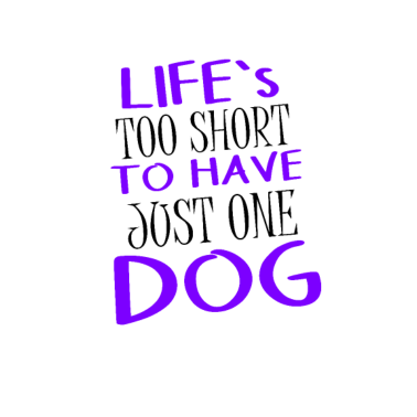 Motiv Mehr als nur einen Hund
