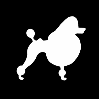 Motiv Pudel Hund Haustier Hunde Geschenk Hundehalter