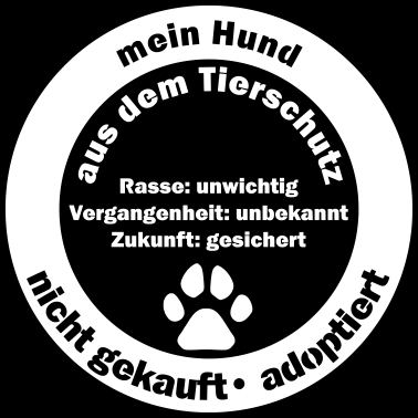 Motiv Mein Hund aus dem Tierschutz: Zukunft gesichert