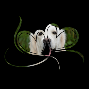 Motiv Hunde Herz Hund Liebe Haustier