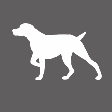 Motiv Hund Dackel Pudel Retriever Hunde Schäferhund Dog