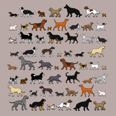 Motiv Viele Hunde gehen 2