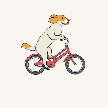 Motiv Hunde Fahrrad Hund