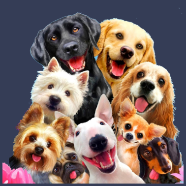 Motiv Hunde