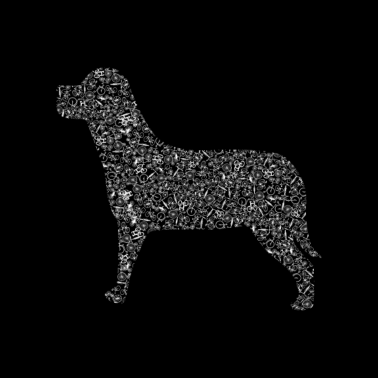 Motiv Der Hund Aus Vielen Fahrrädern Fahrrad