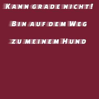 Motiv hund - auf dem Weg zu meinem Hund