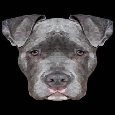 Motiv hund hunde