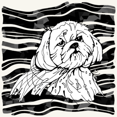 Motiv Hund