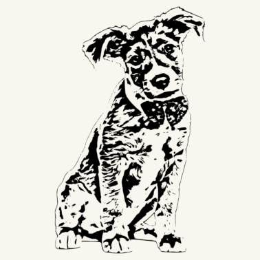 Motiv Hund