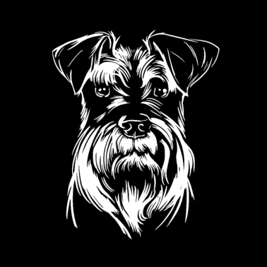 Motiv Hunde