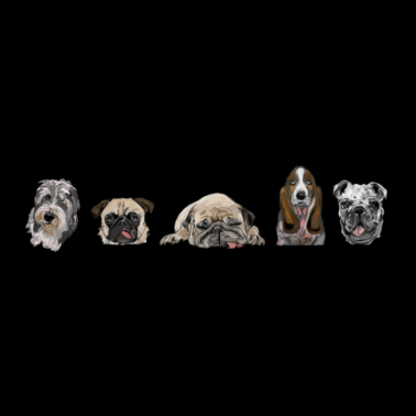 Motiv Hunde