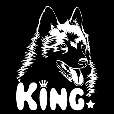 Motiv Hund