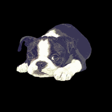 Motiv hund