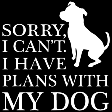Motiv Hund