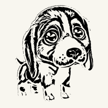 Motiv Hund