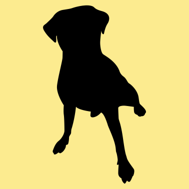 Motiv Hund