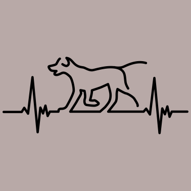 Motiv hunde