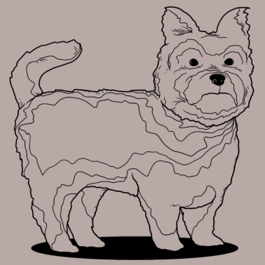 Motiv Hund