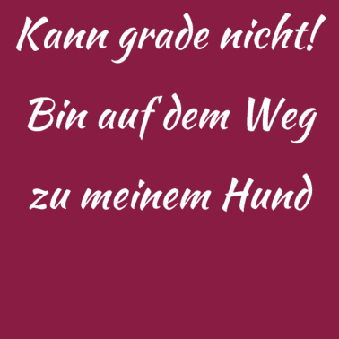 Motiv hund - auf dem Weg zu meinem Hund