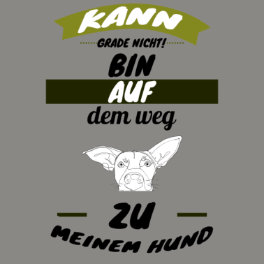 Motiv hund - auf dem Weg zu meinem Hund