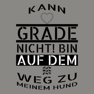 Motiv hund - auf dem Weg zu meinem Hund