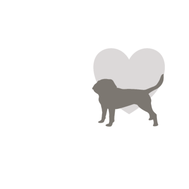 Motiv Hunde Hund Spruch