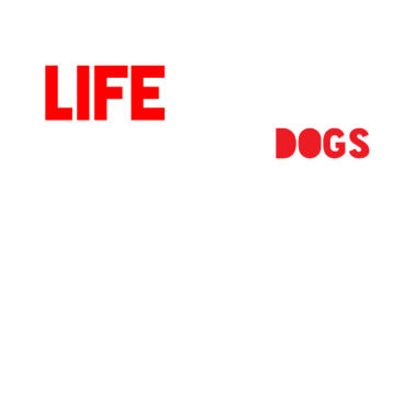 Motiv Hund Hunde Streicheln