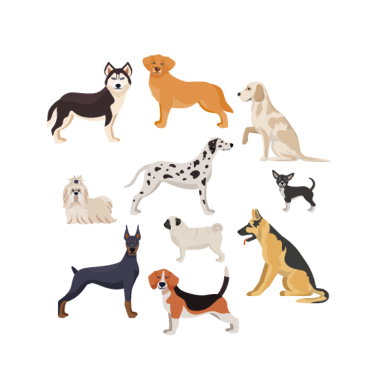 Motiv Hund Hunde Hunde-Arten Geschenk