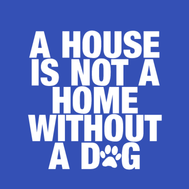 Motiv Hunde Hunde und nochmals Hunde