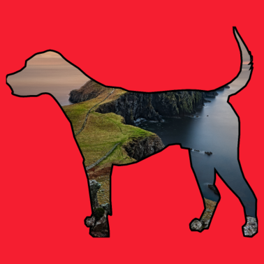 Motiv Der Hund, ich kann keinen Hund haben.