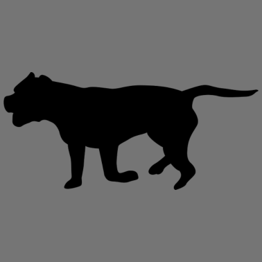 Motiv Jeder Hund ist anders