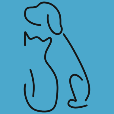 Motiv Hund Katze Tier Haustier Katzen Tierliebe Hunde