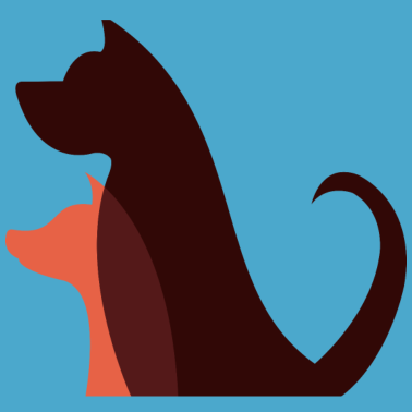 Motiv Hund Hund Hund