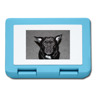 Hunde Brotdose - Hund