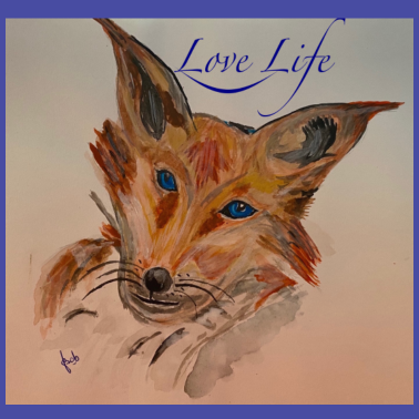 Motiv Hund, mein Hund