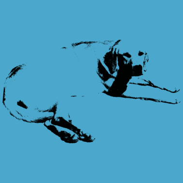 Motiv Hund Hunde Geschenk