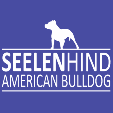 Motiv Hund Hunde Dog