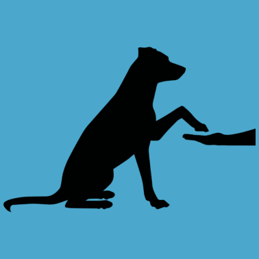 Motiv Hund Hunde Dog